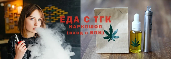 мдпв Ельня