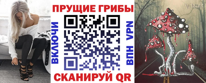 где можно купить наркотик  Снежинск  Галлюциногенные грибы GOLDEN TEACHER 